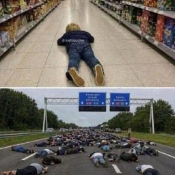 442524d3ece0d5a025ad37547b5e72f9.jpg