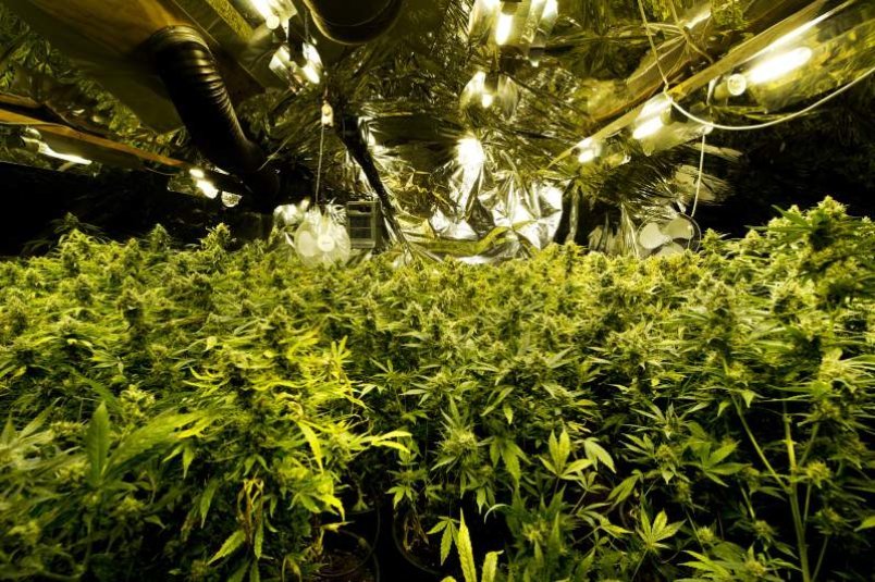 RobDees omslagfoto